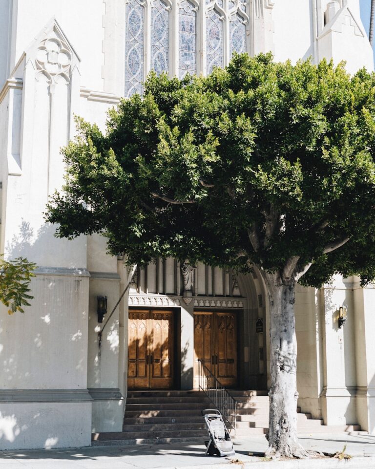 A large white building with a tree in front of it